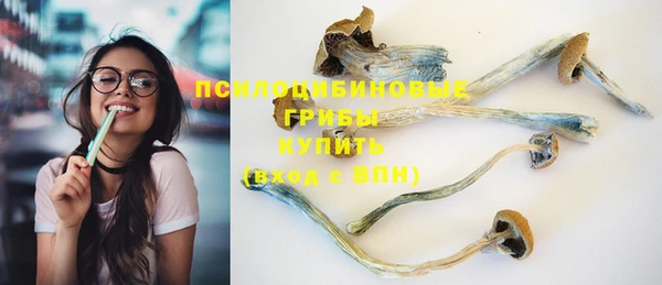 прущая мука Богородск